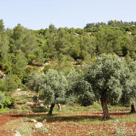 Ajloun Hotel Extérieur photo