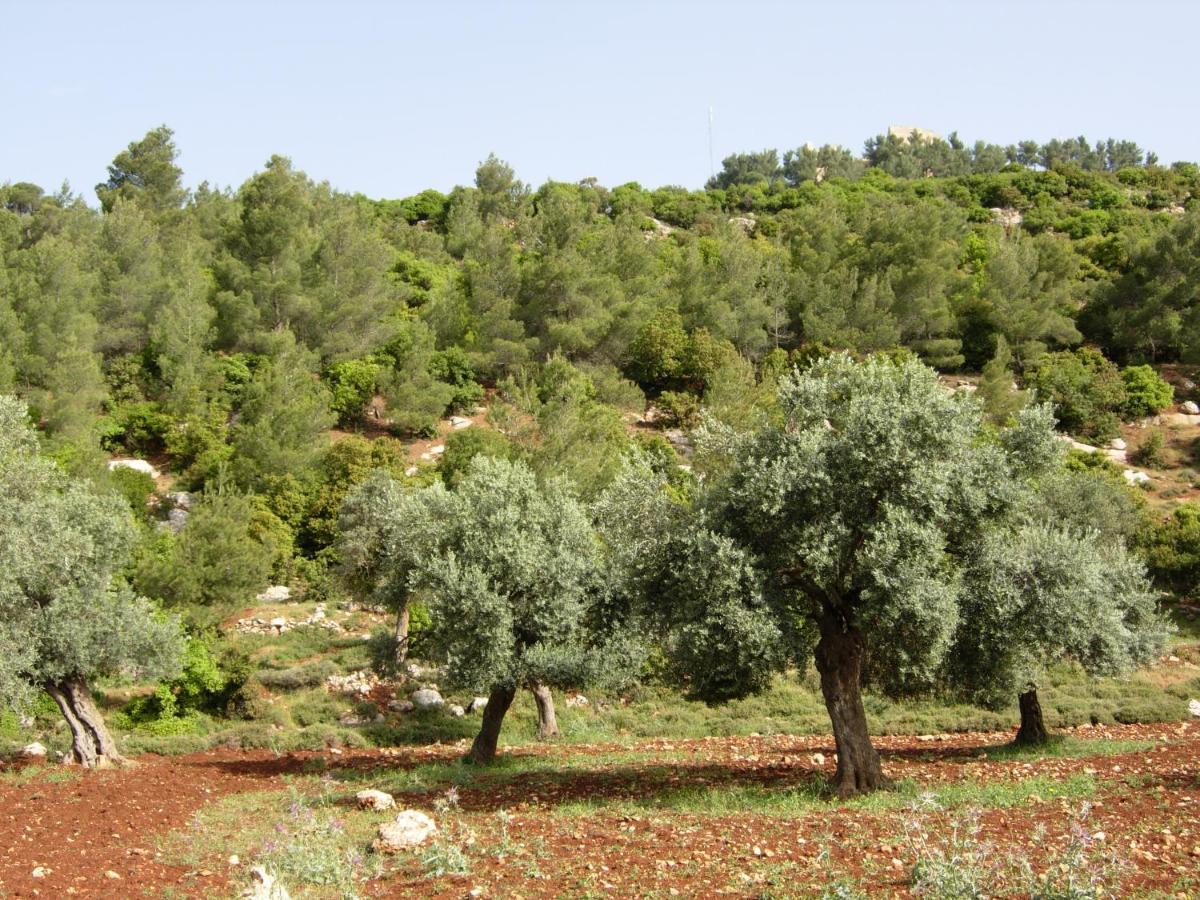Ajloun Hotel Extérieur photo